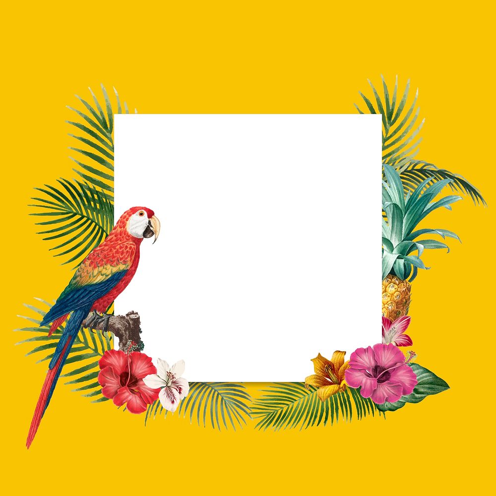 Tropical square frame on yellow background vector