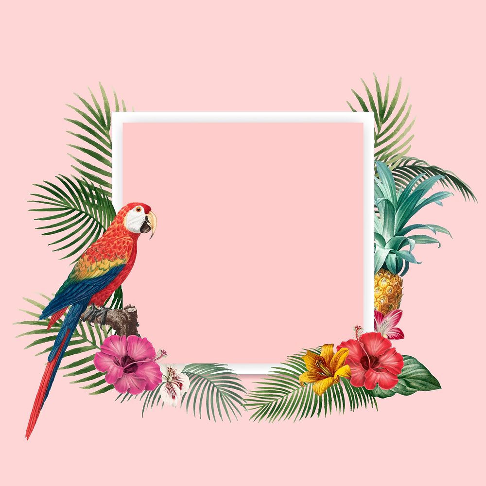 Tropical square frame on pink background