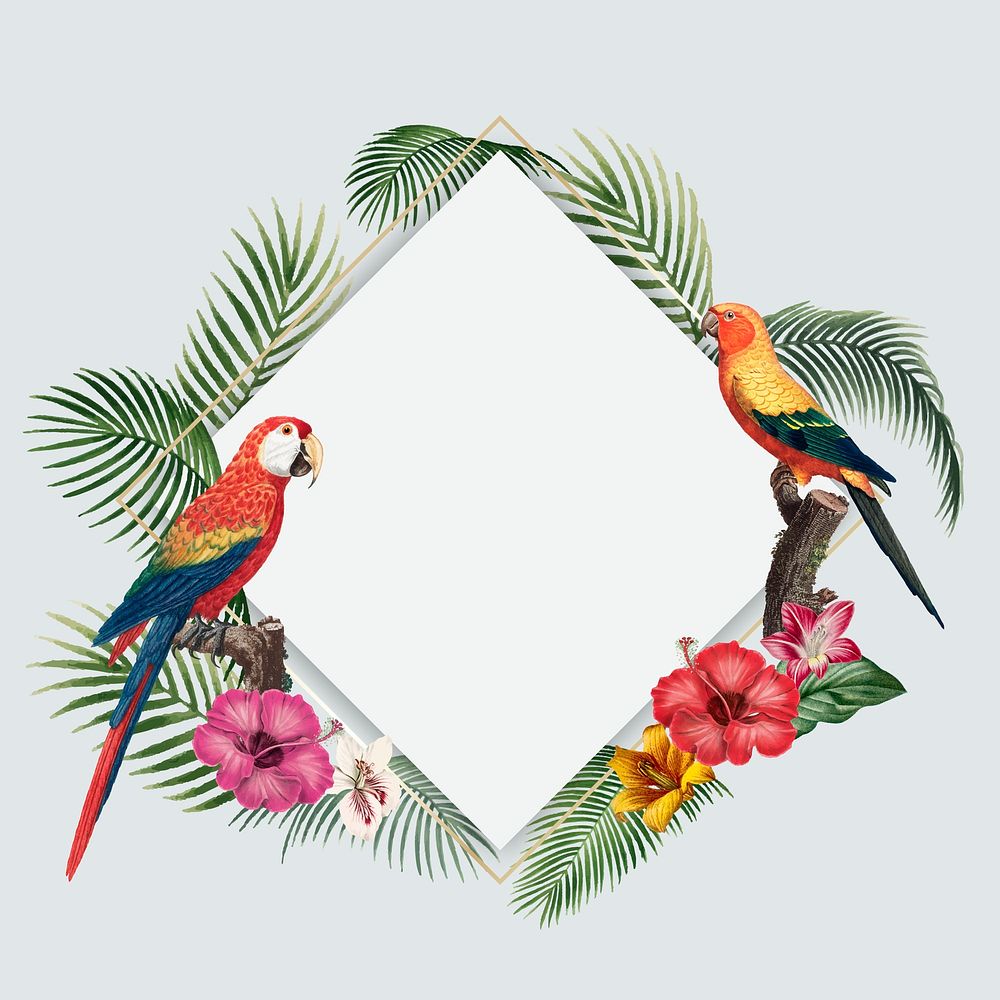 Tropical rhombus frame on gray background vector