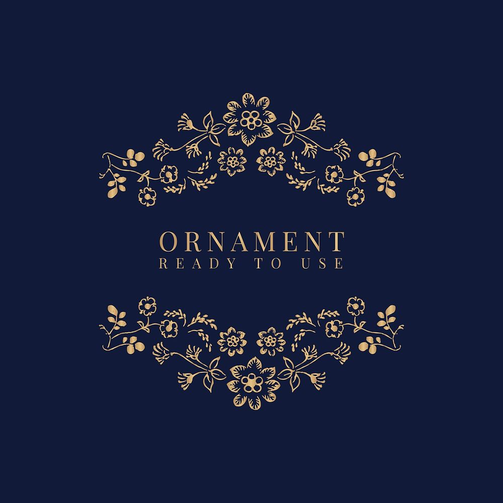 Ready to use ornament frame vector