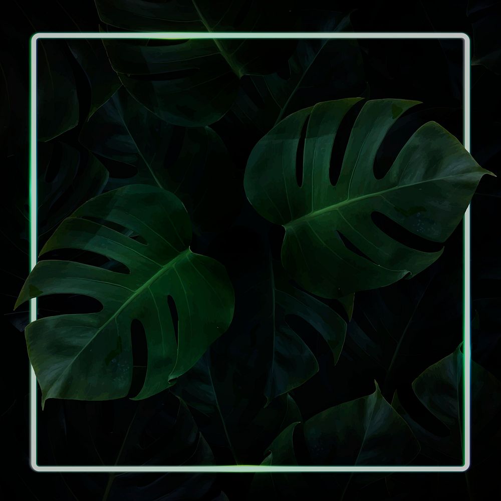 Square green neon frame on tropical leaves background vector
