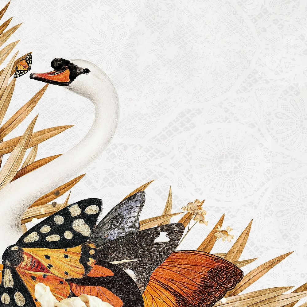 Swan illustration background, animal collage scrapbook mixed media artwork psd