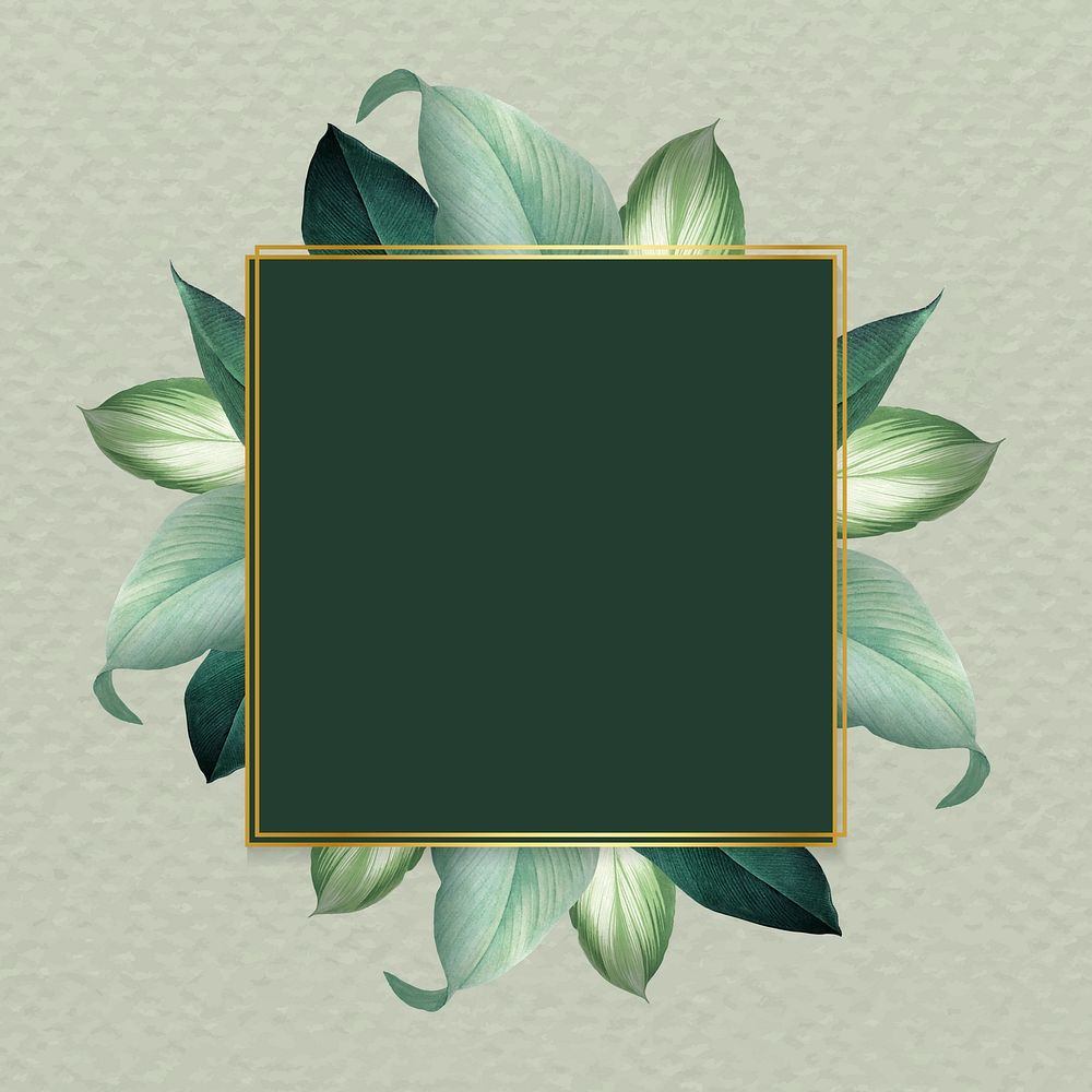 Square foliage frame on green background vector