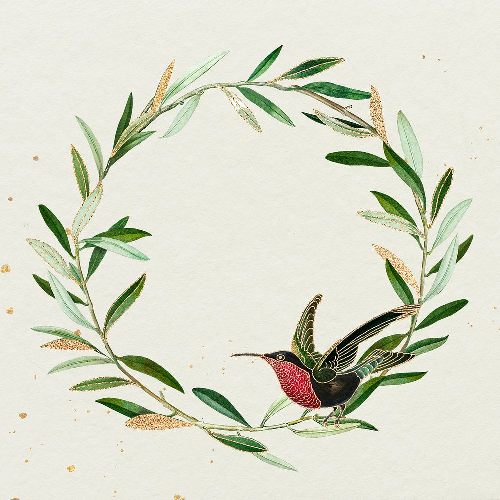 Olive wreath with a garnet-throated hummingbird illustration