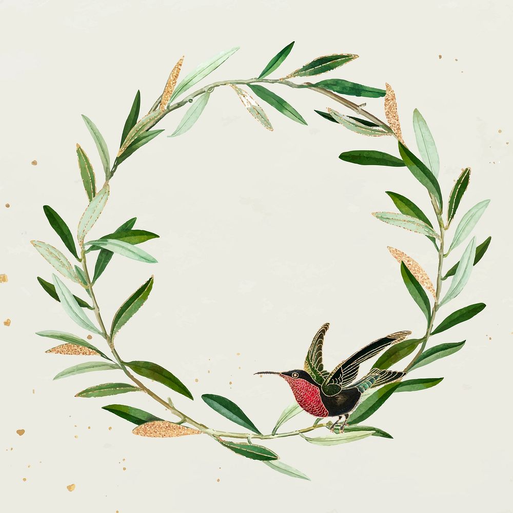 Olive wreath with a garnet-throated hummingbird vector