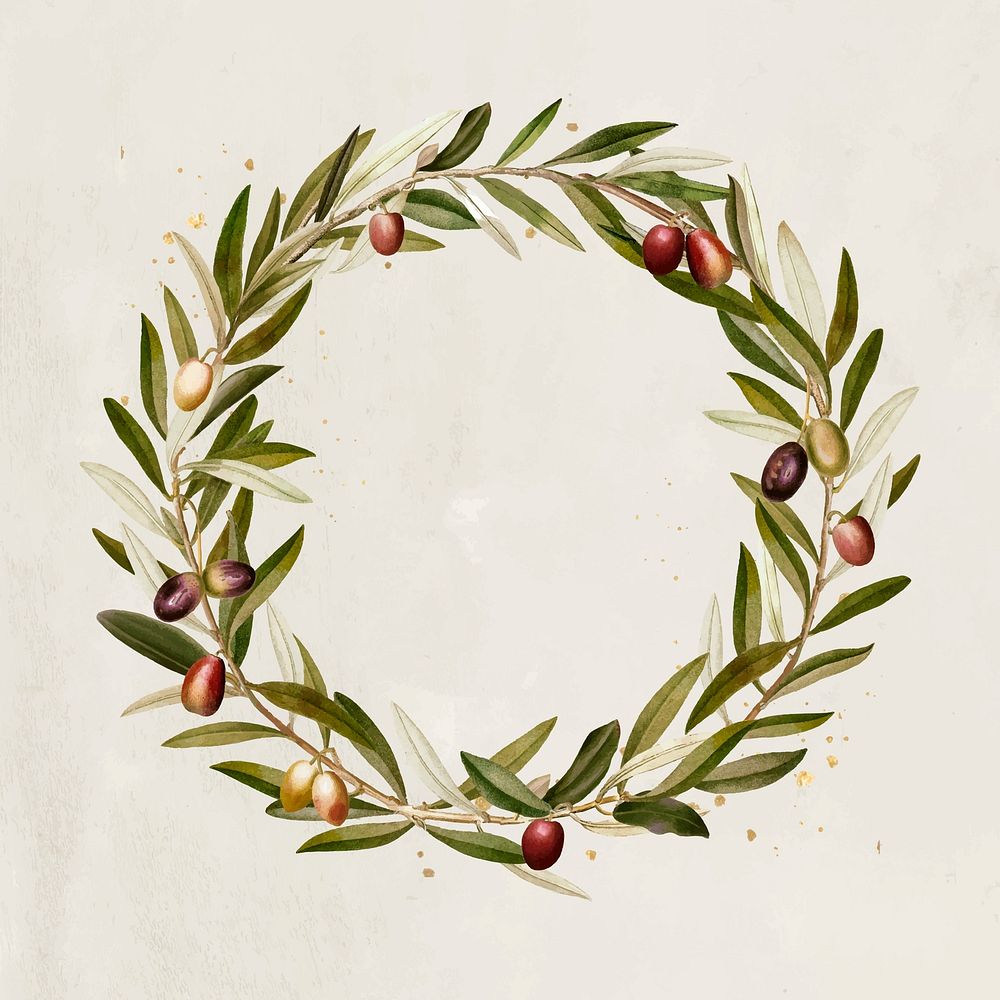 Olive wreath design element vector