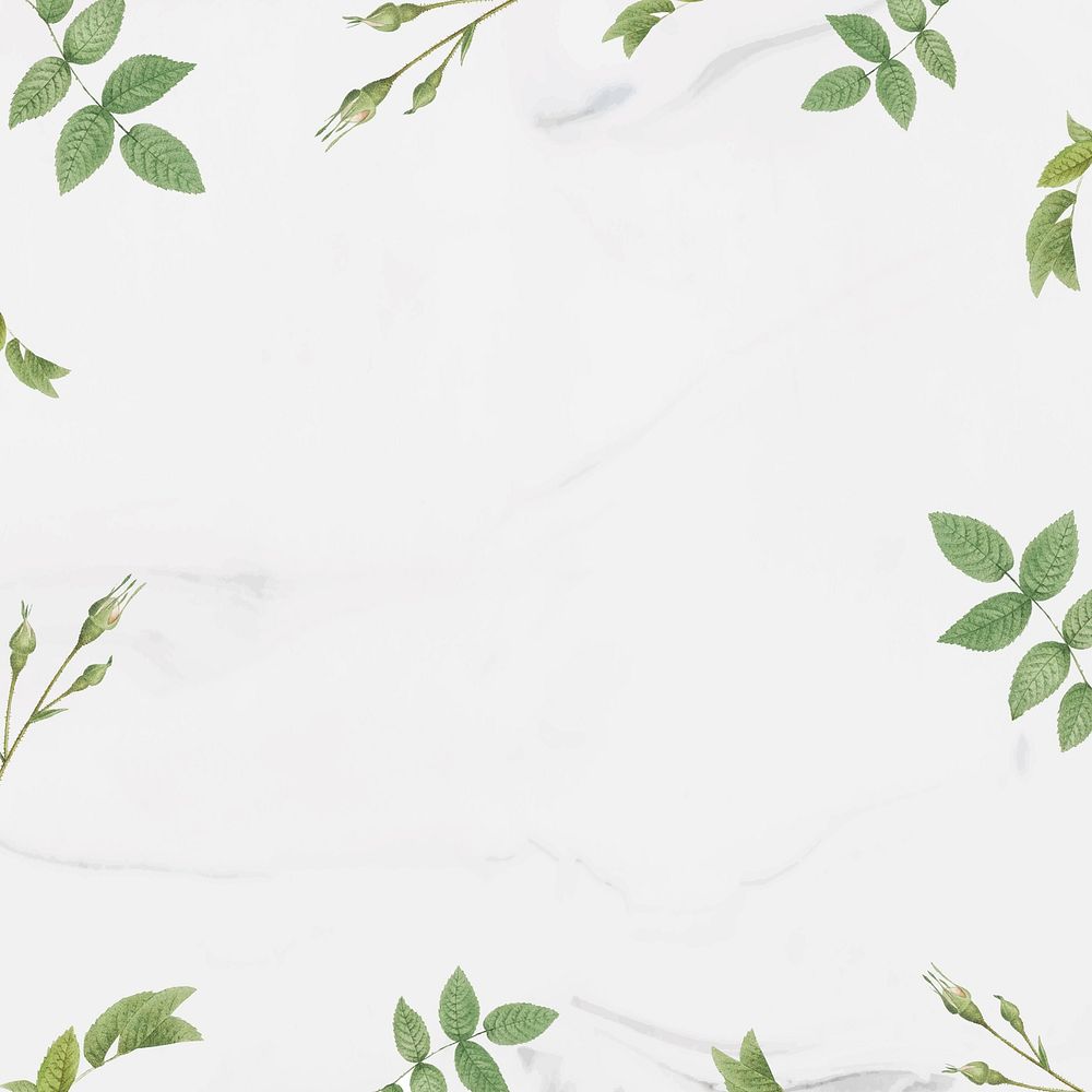 Green foliage pattern frame vector