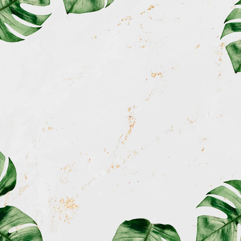 Green monstera leave border on a gray marble background