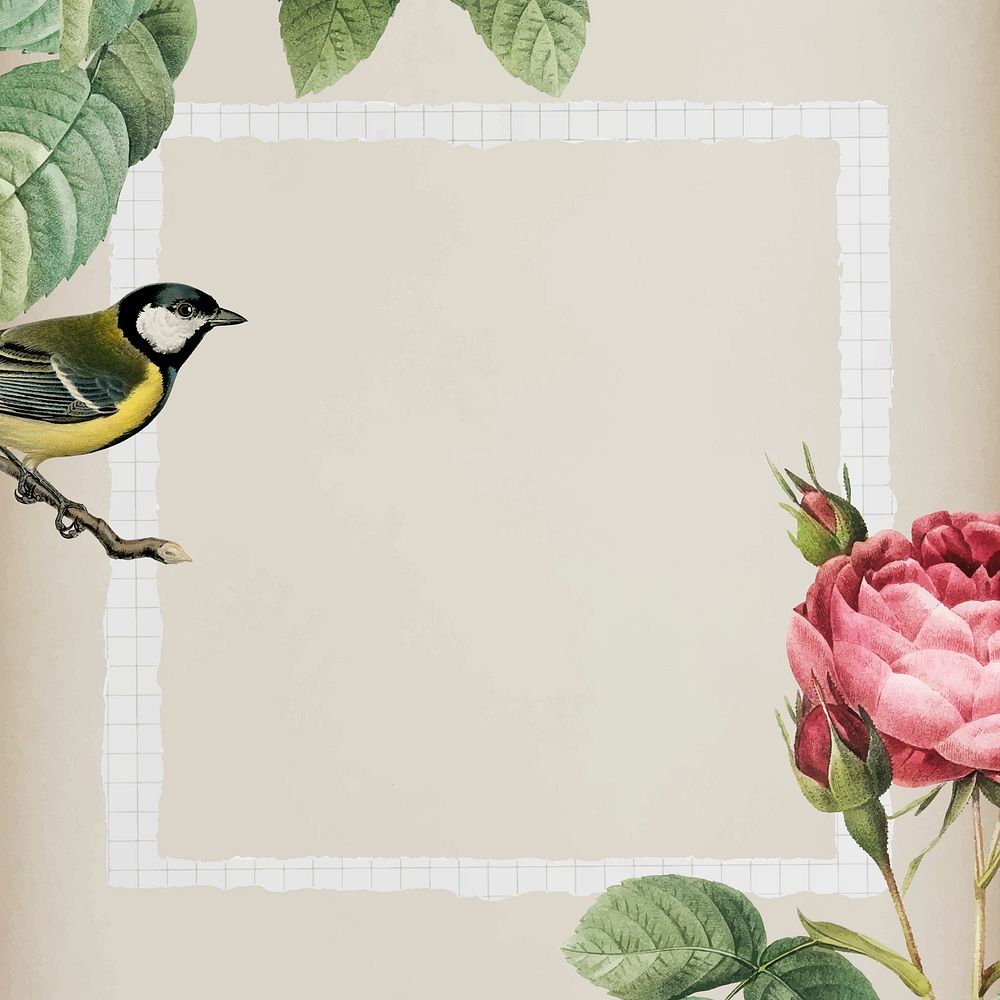 Sparkling rosebush and yellow great tit bird with a white frame on beige background vector