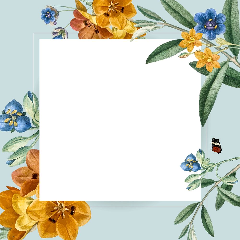 Floral square frame design vector