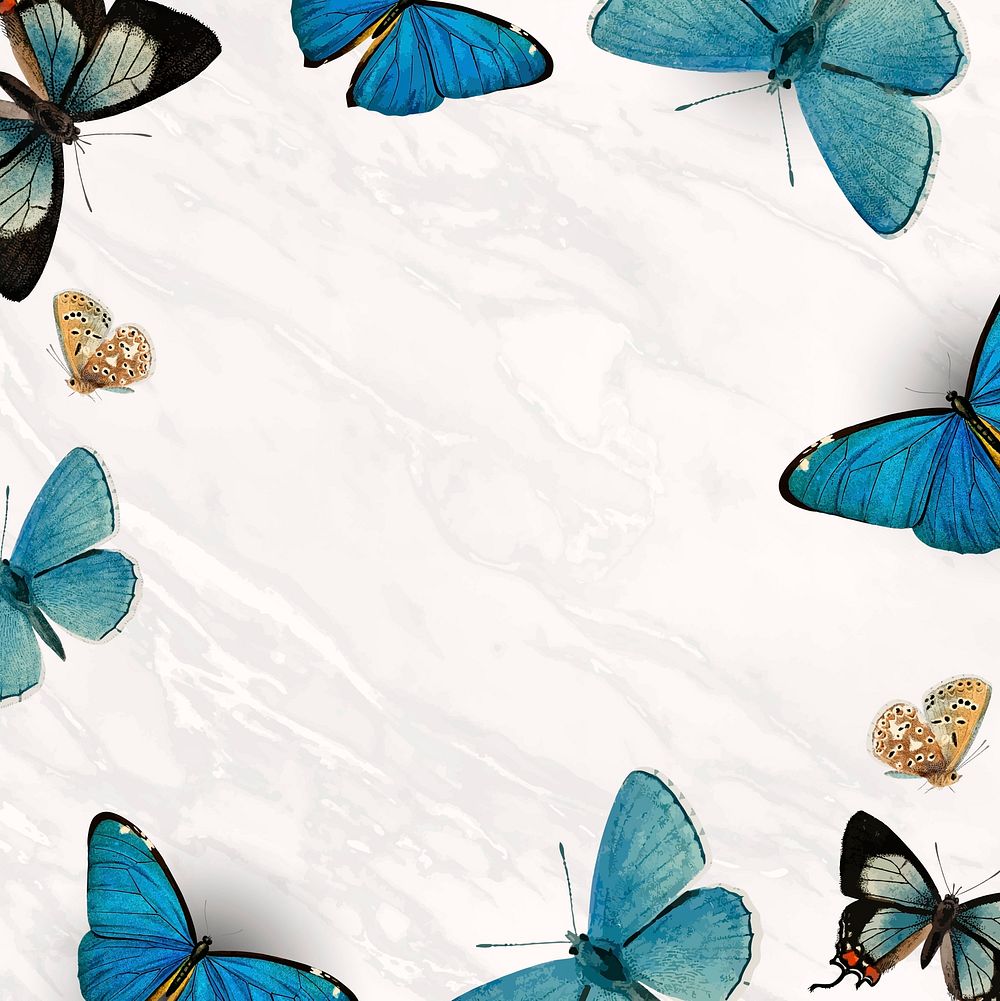 Blue butterflies patterned on white background vector