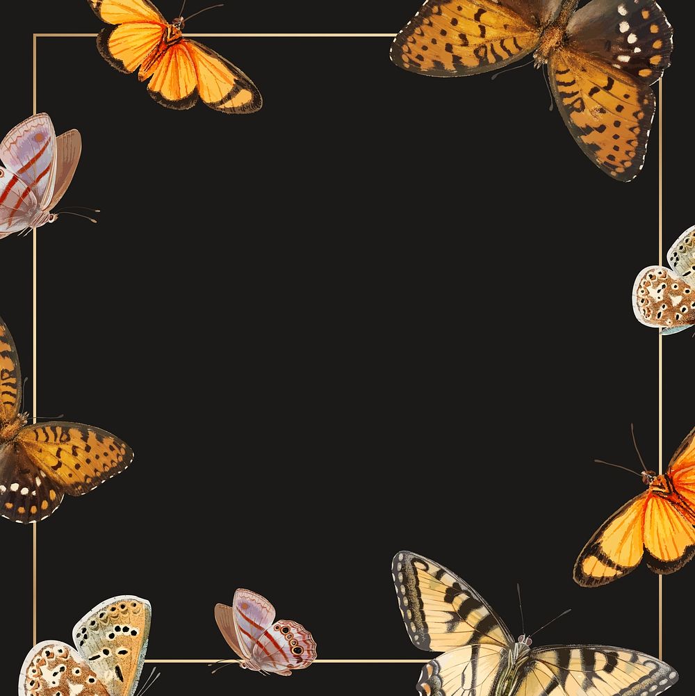 Gold frame with butterfly patterned background vector