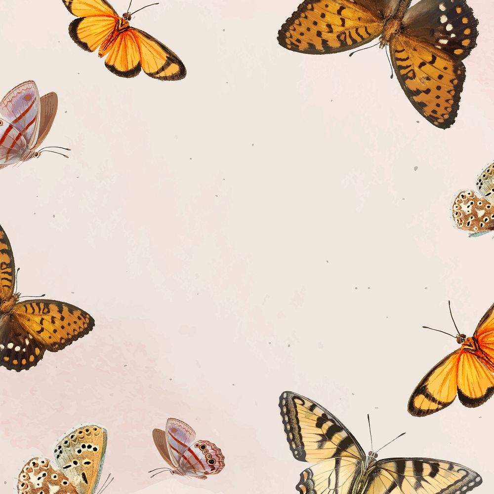 Butterfly patterned on white background vector