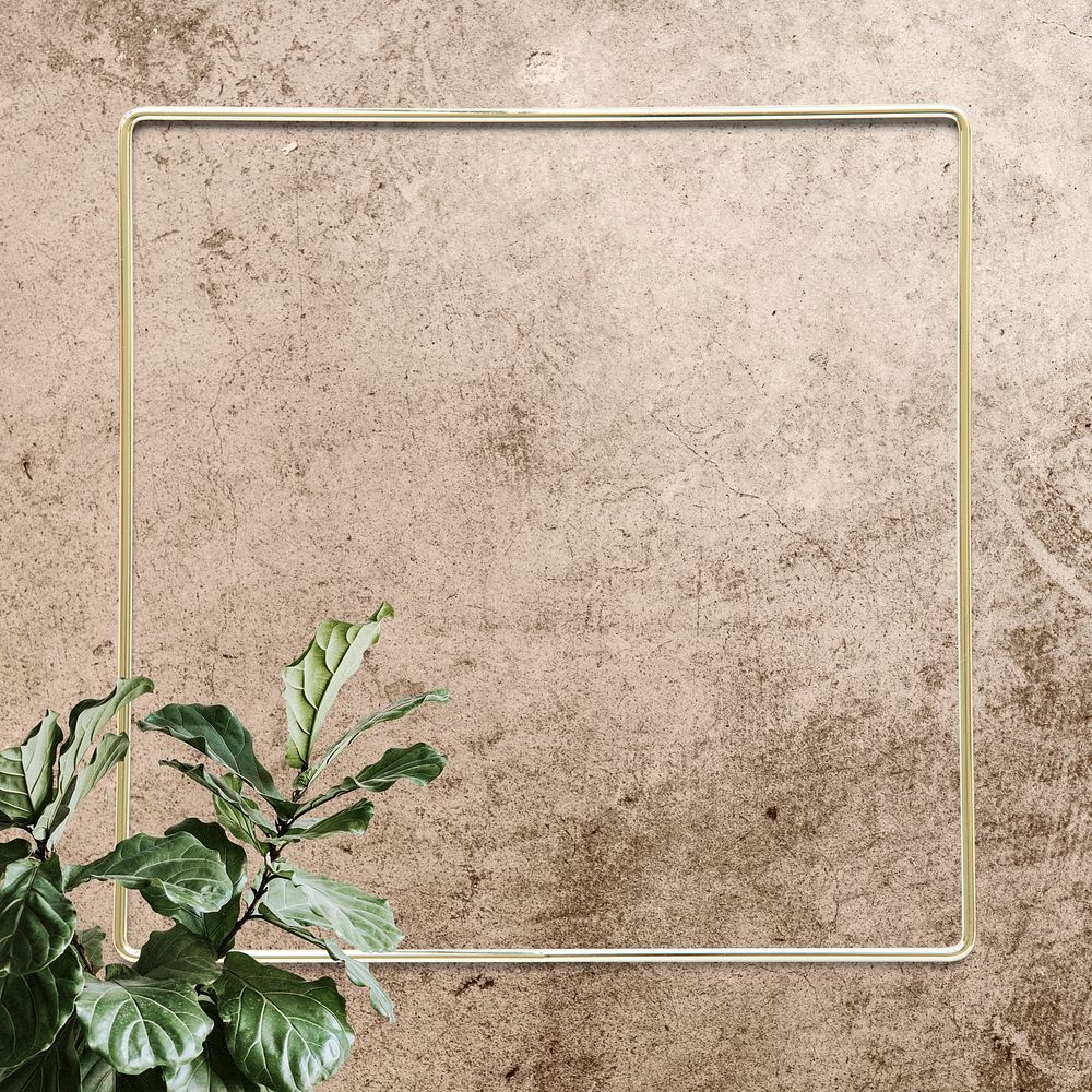 Gold frame decorated with a fiddle leaf fig plant mockup design