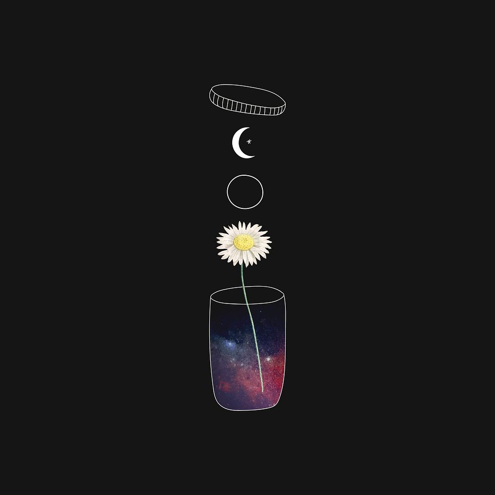 Daisy in a container on a black background vector