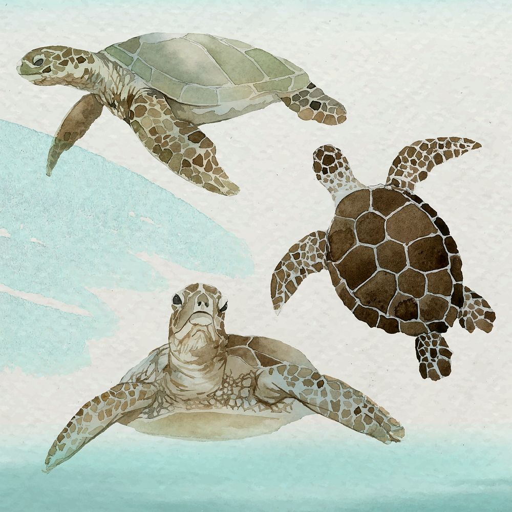 Watercolor painted sea turtle in watercolor banner vector