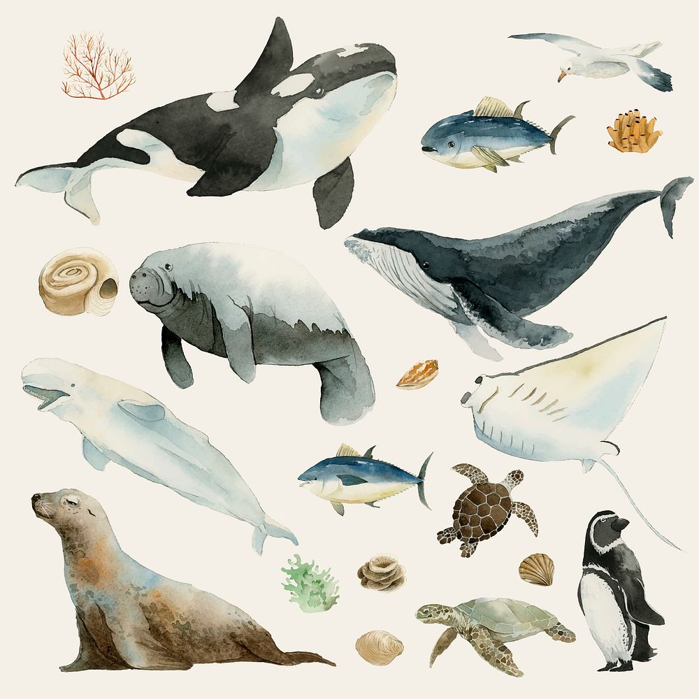Watercolor painted aquatic animals collection vector