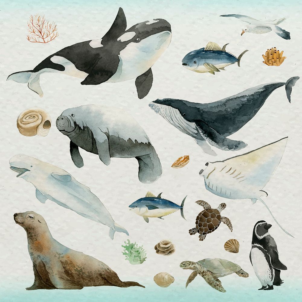 Watercolor painted aquatic animals collection illustration