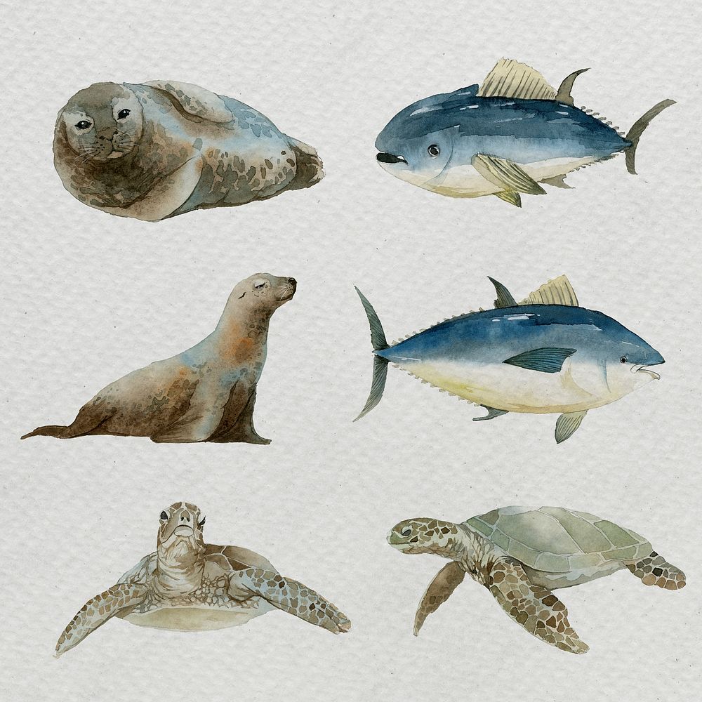 Sea mammals in watercolor set template