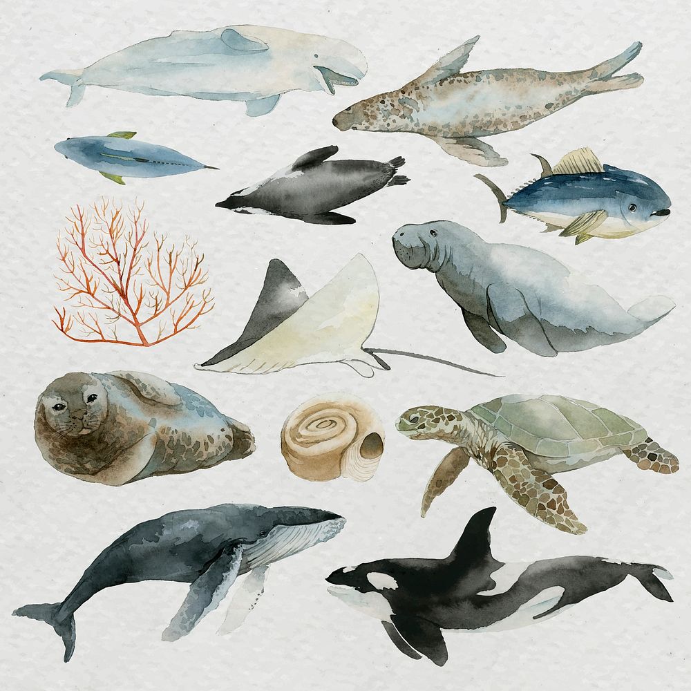 Animals from the sea in watercolor set vector