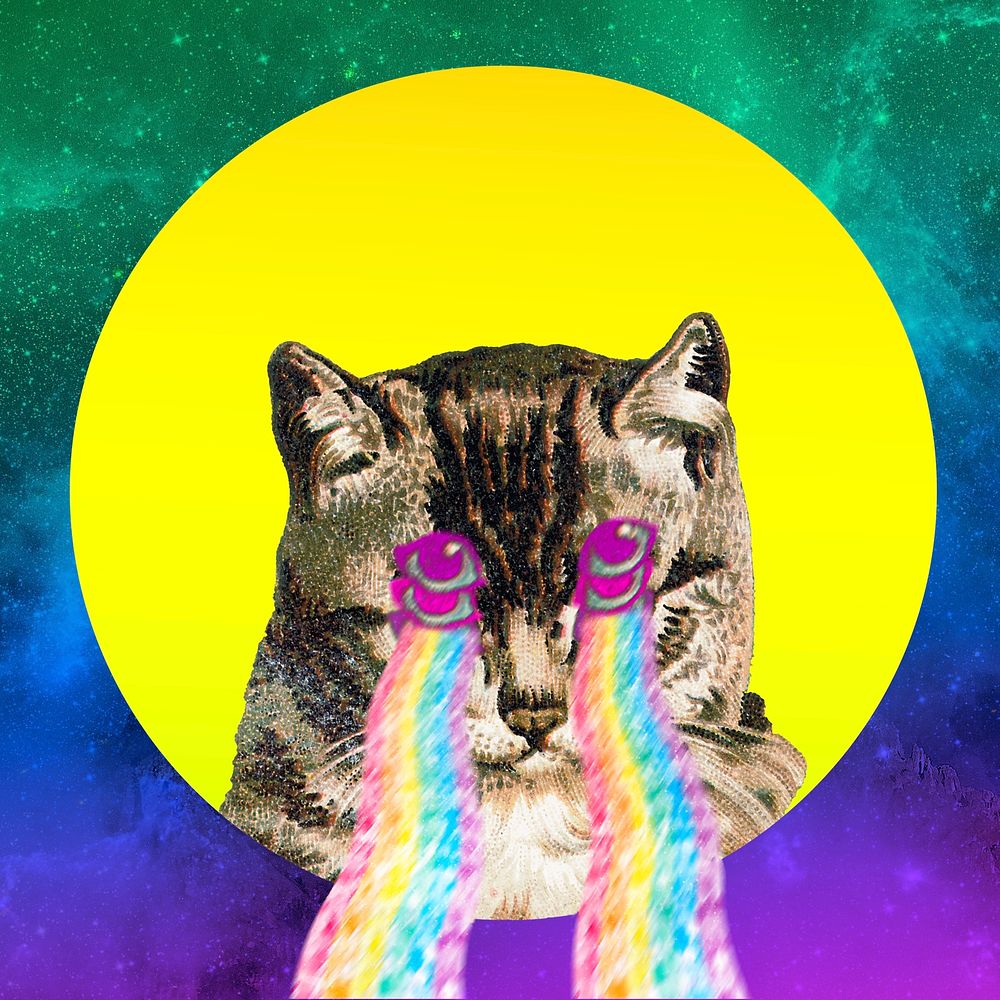 Cat with rainbow laser eyes sticker illustration