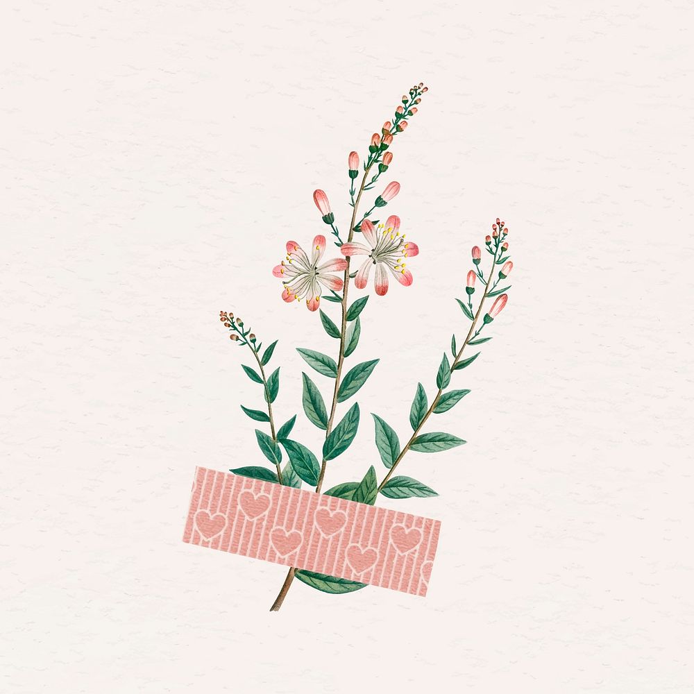 Flower with a pink Washi tape design element vector