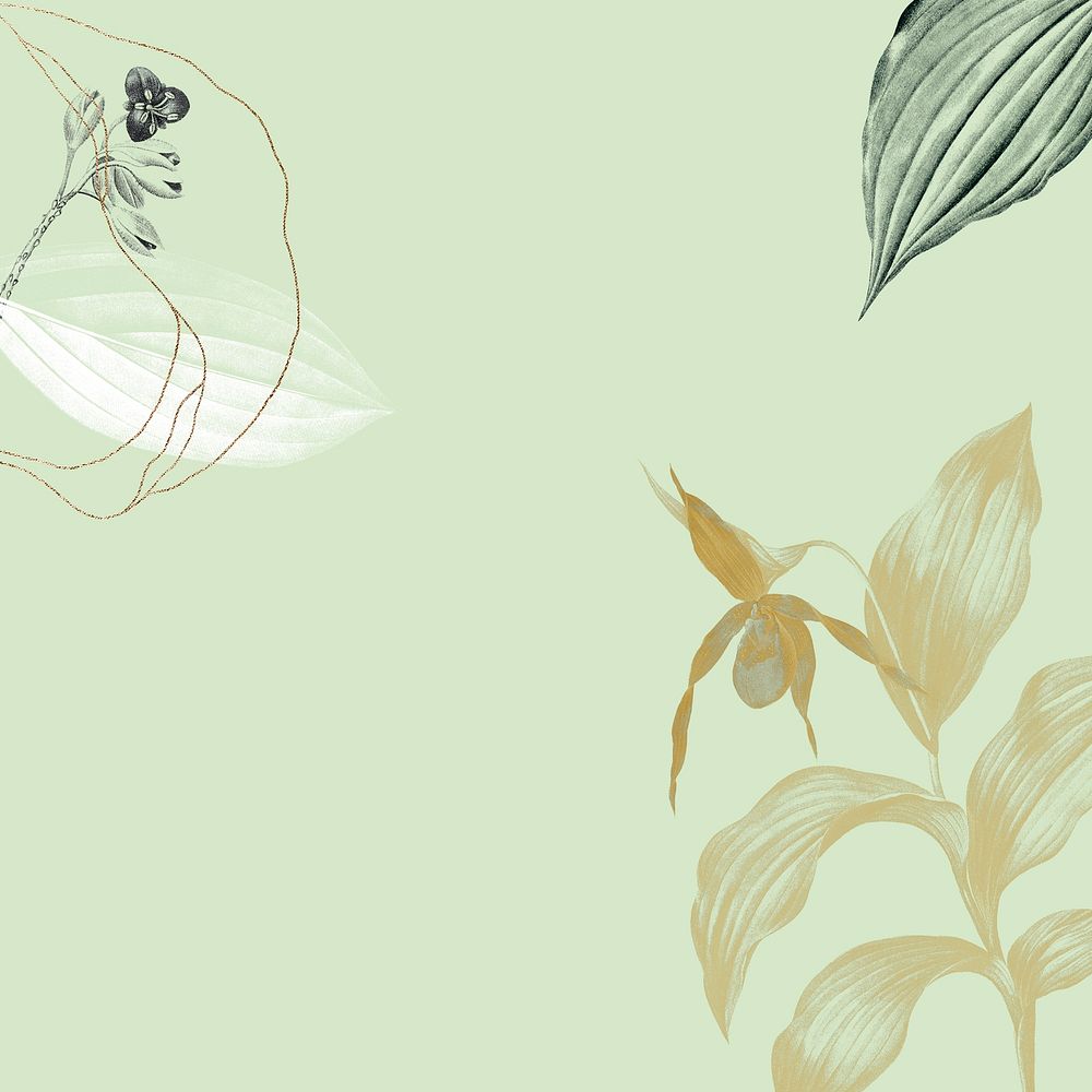 Tropical leafy background illustration