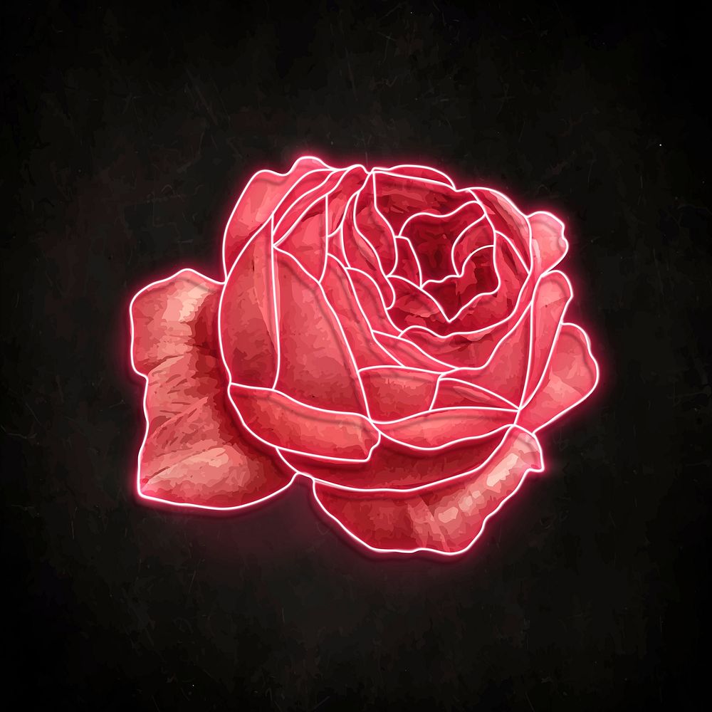 Red neon rose on a black background vector