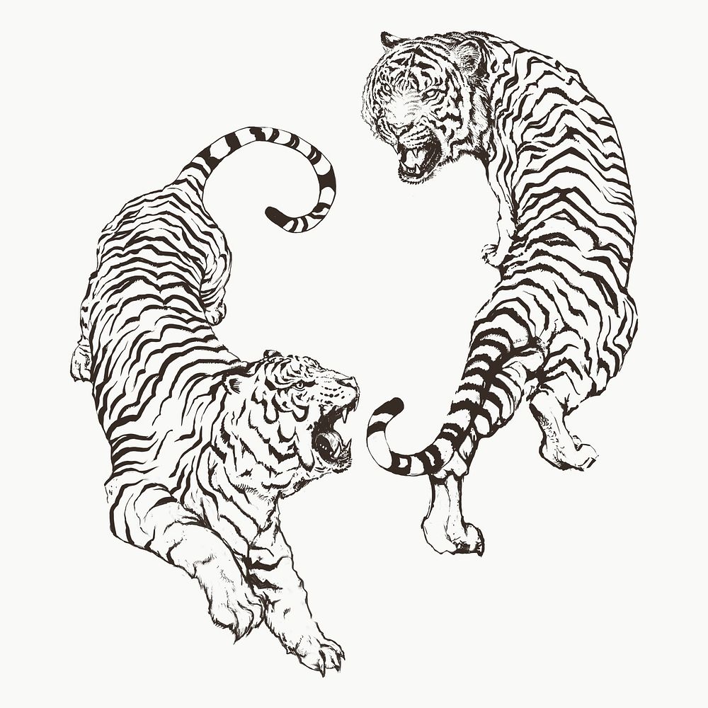 Hand drawn roaring tiger illustrations on an off white background
