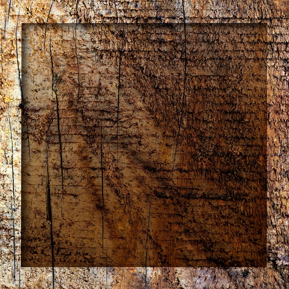 Square frame on rustic wooden texture background