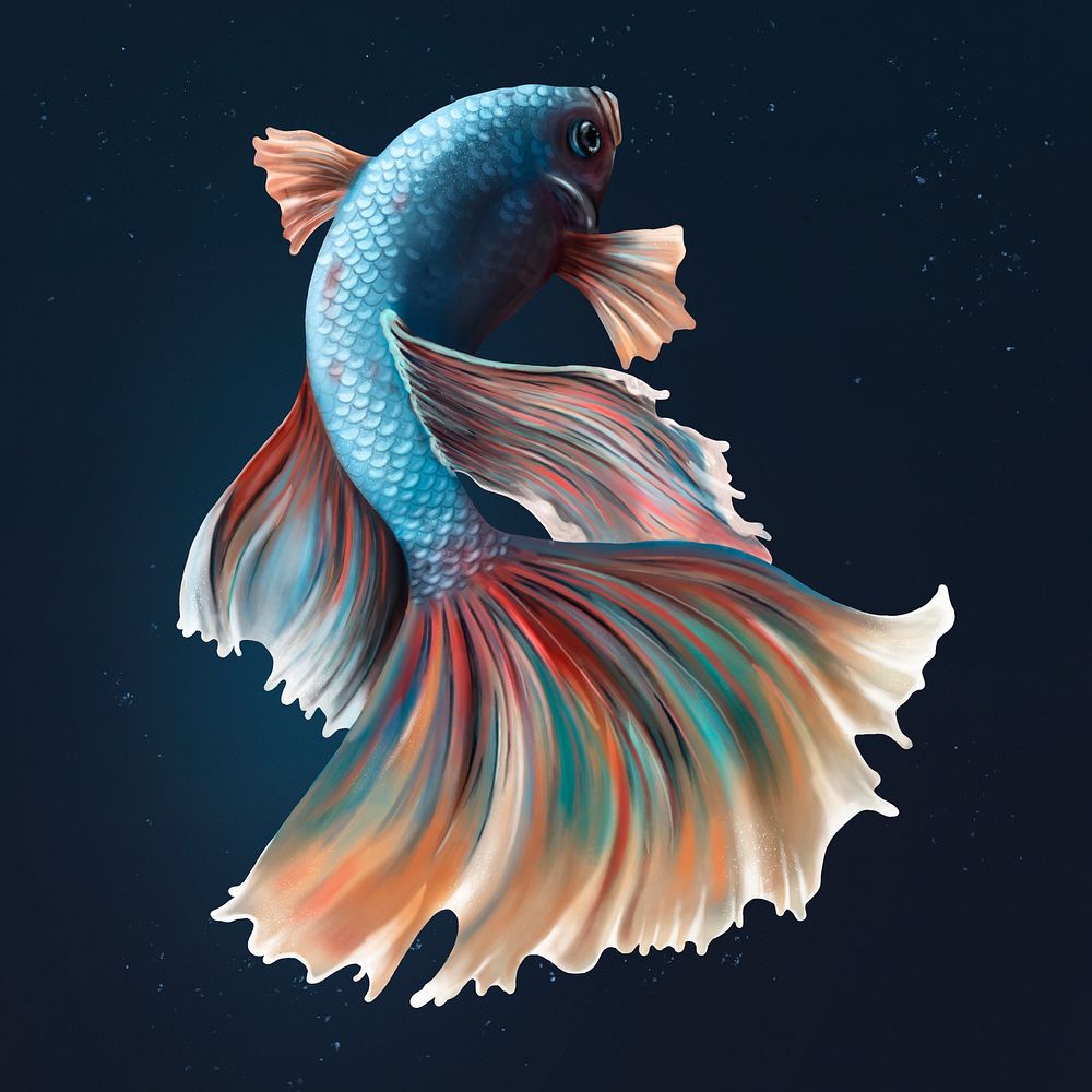 Colorful betta fish on a midnight blue background design resource 