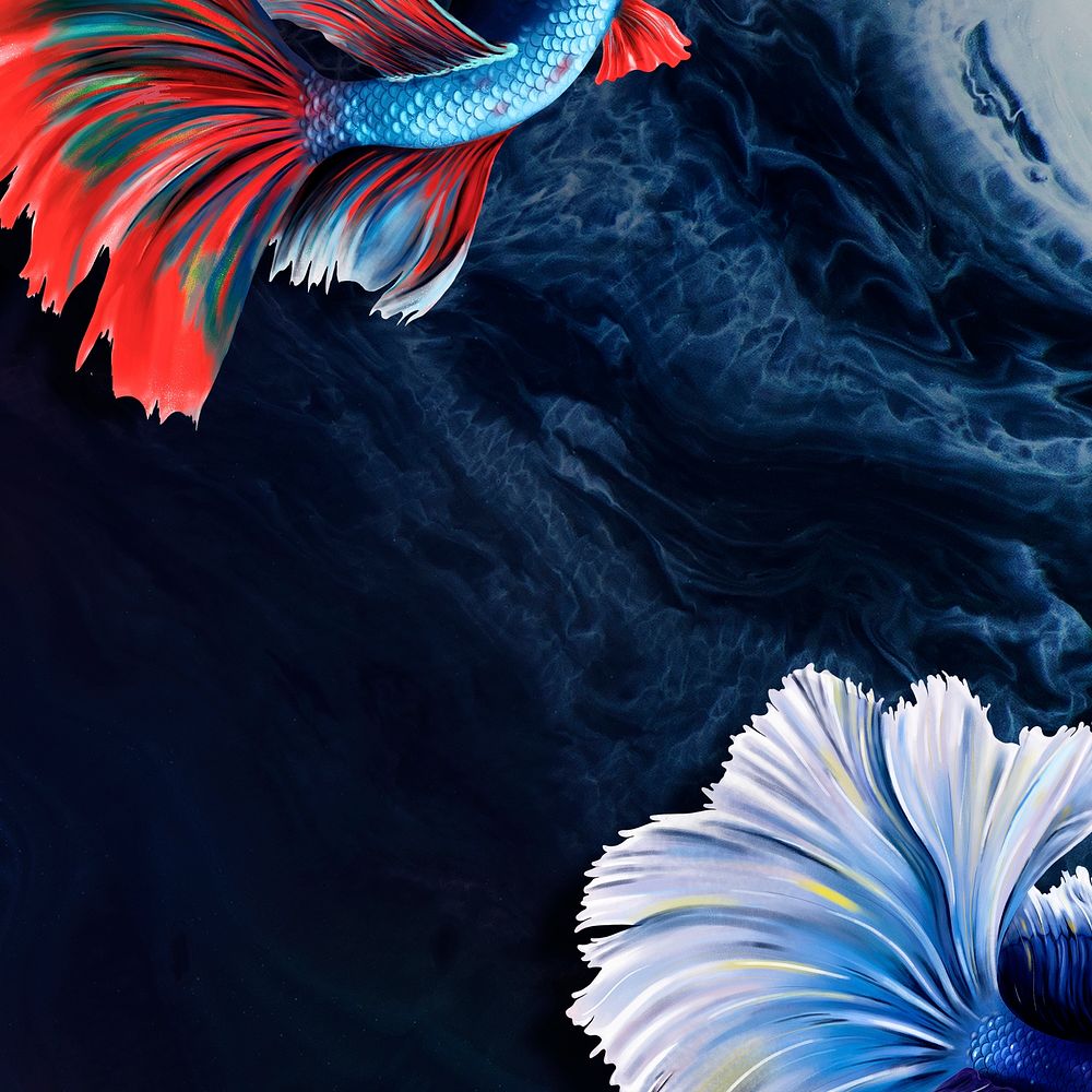 Betta fish tail background design resource