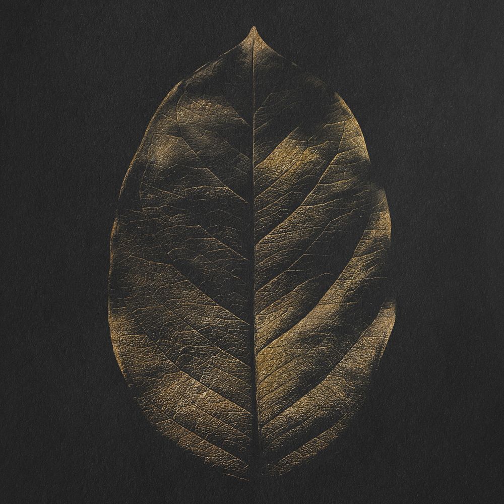 Gold dried leaf texture on black background design resource