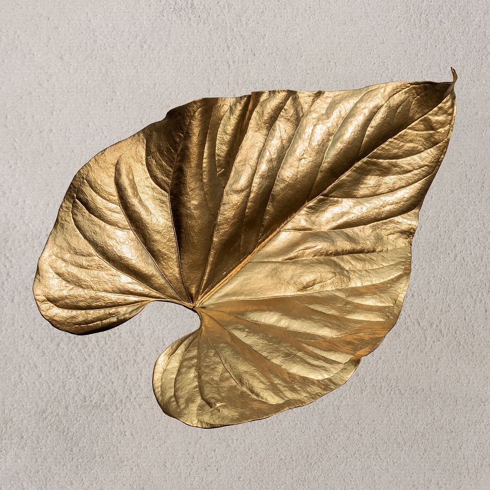 Gold leaf on beige background design resource