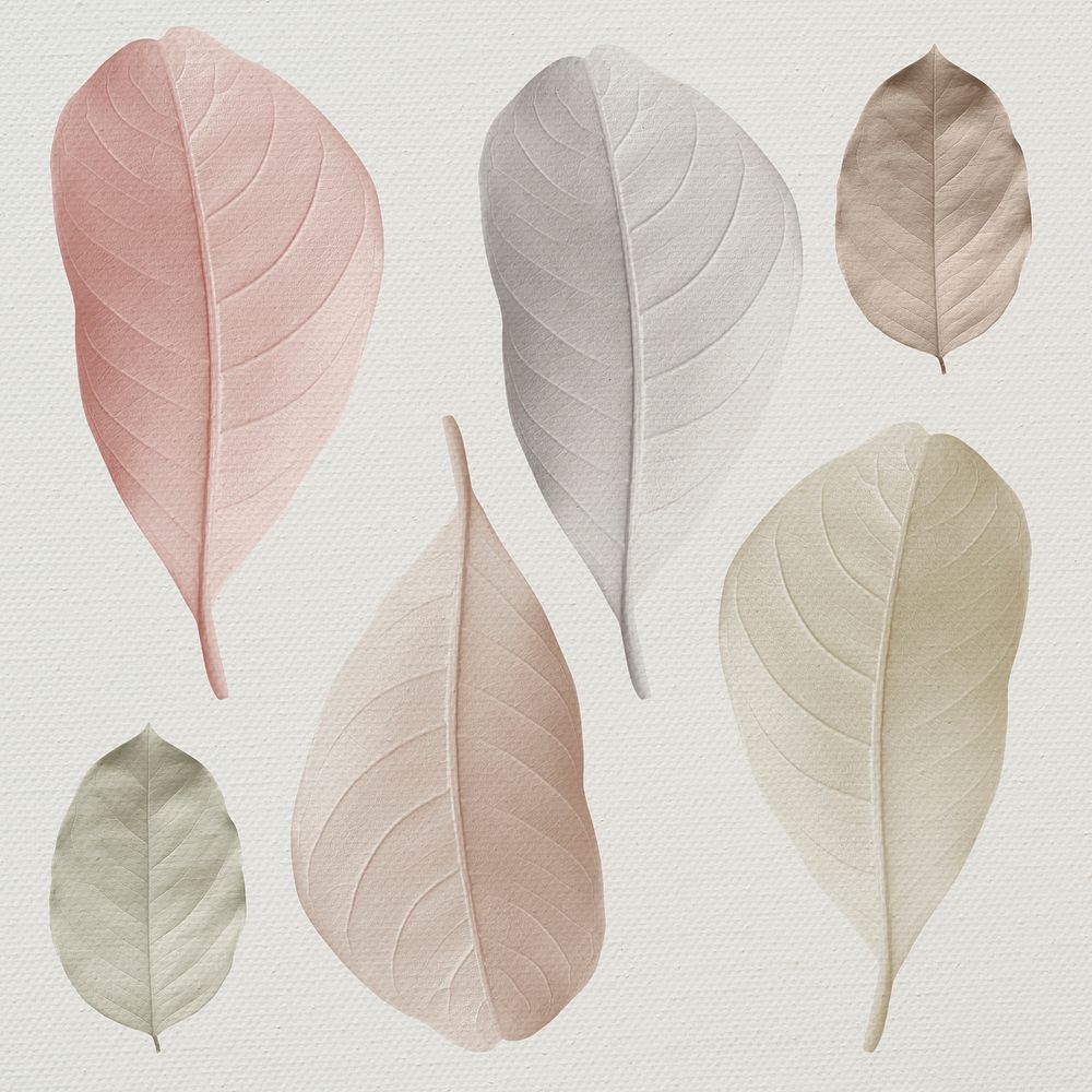 Mix of pastel leaves design resource