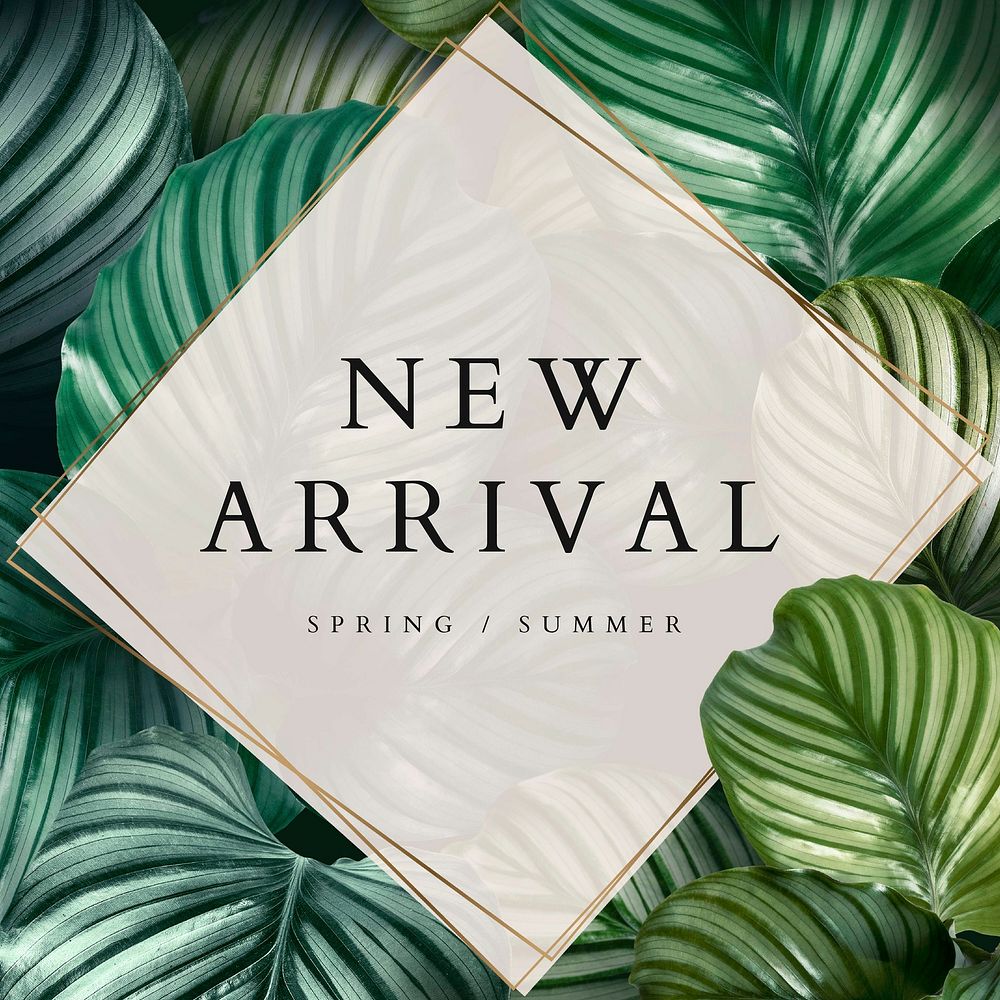 Spring and summer new arrival template vector