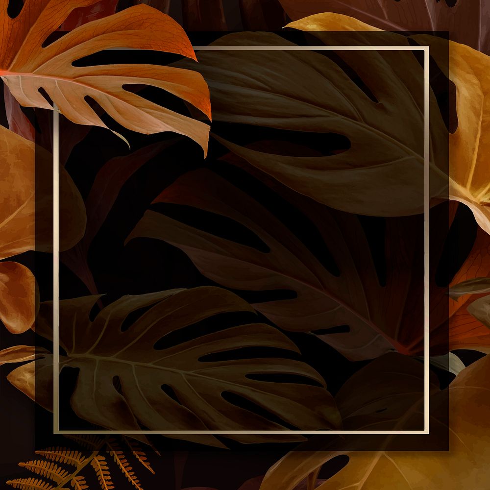 Square frame with brown monstera leaves background vector
