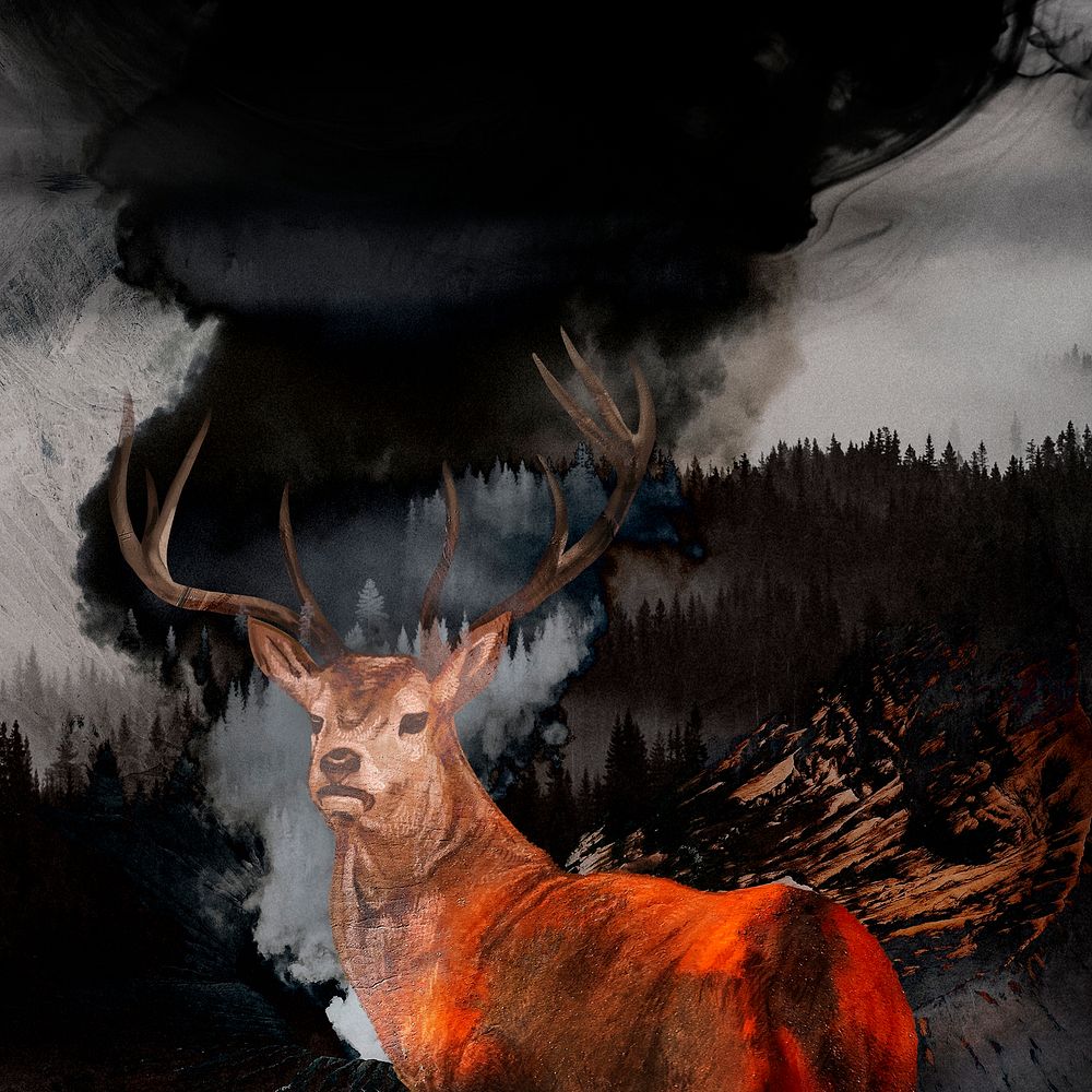 Deer in a forest wildfire illustration