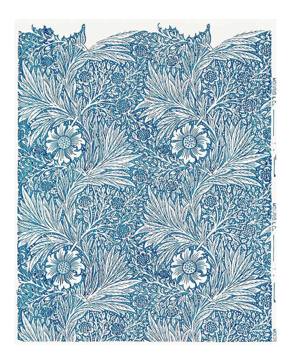 Blue marigold illustration wall art print and poster design remix from original artwork by William Morris.