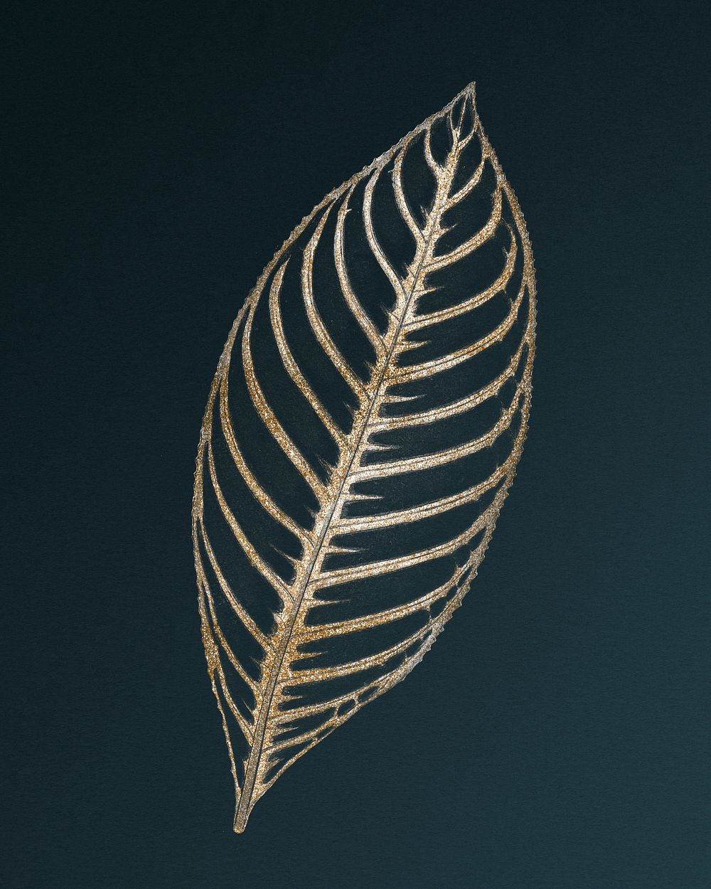 Sanchezia Nobilis, engraved Tiger Plant leaf vintage illustration, remix from original artwork of Benjamin Fawcett.