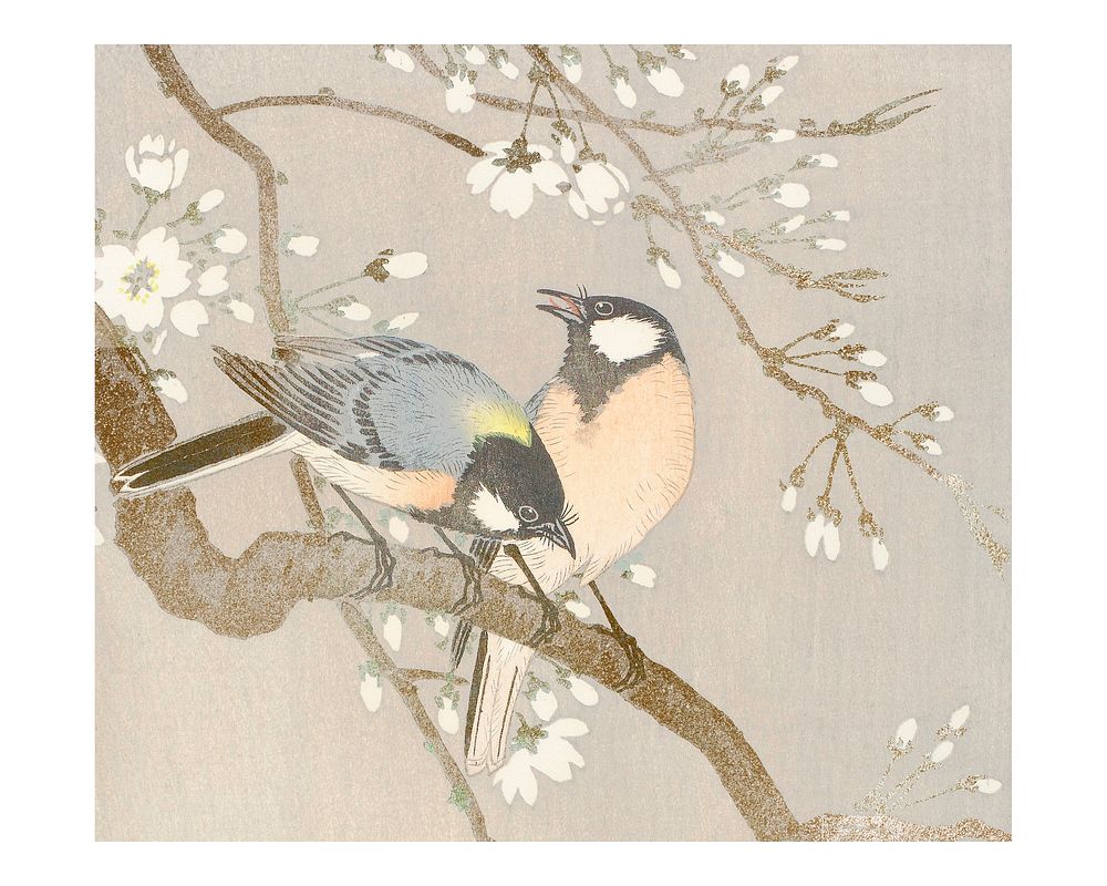 Tit birds on a cherry branch vintage illustration wall art print and poster design remix from original artwork.