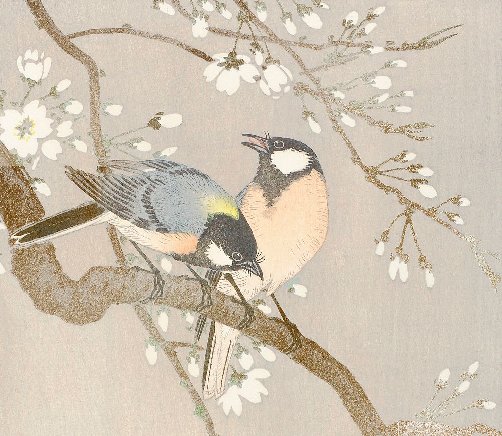 Tit birds on a cherry branch vintage illustration, remix from original artwork.