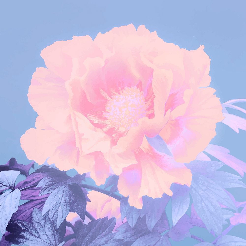 Neon peony vintage vector artwork, remix from orginal photography.