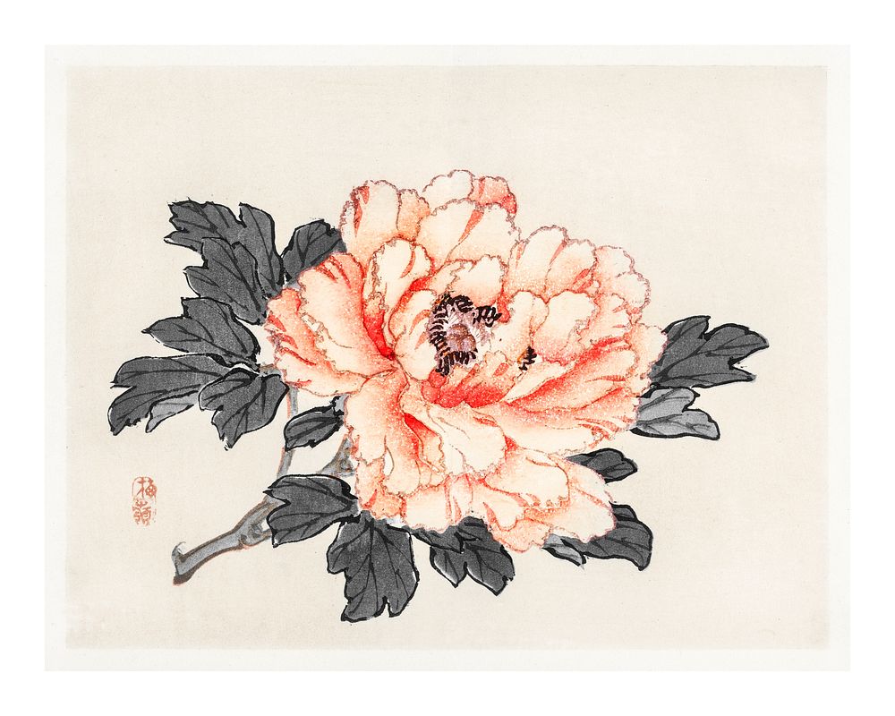 Pink rose vintage wall art print poster design remix from original artwork by Kōno Bairei.  