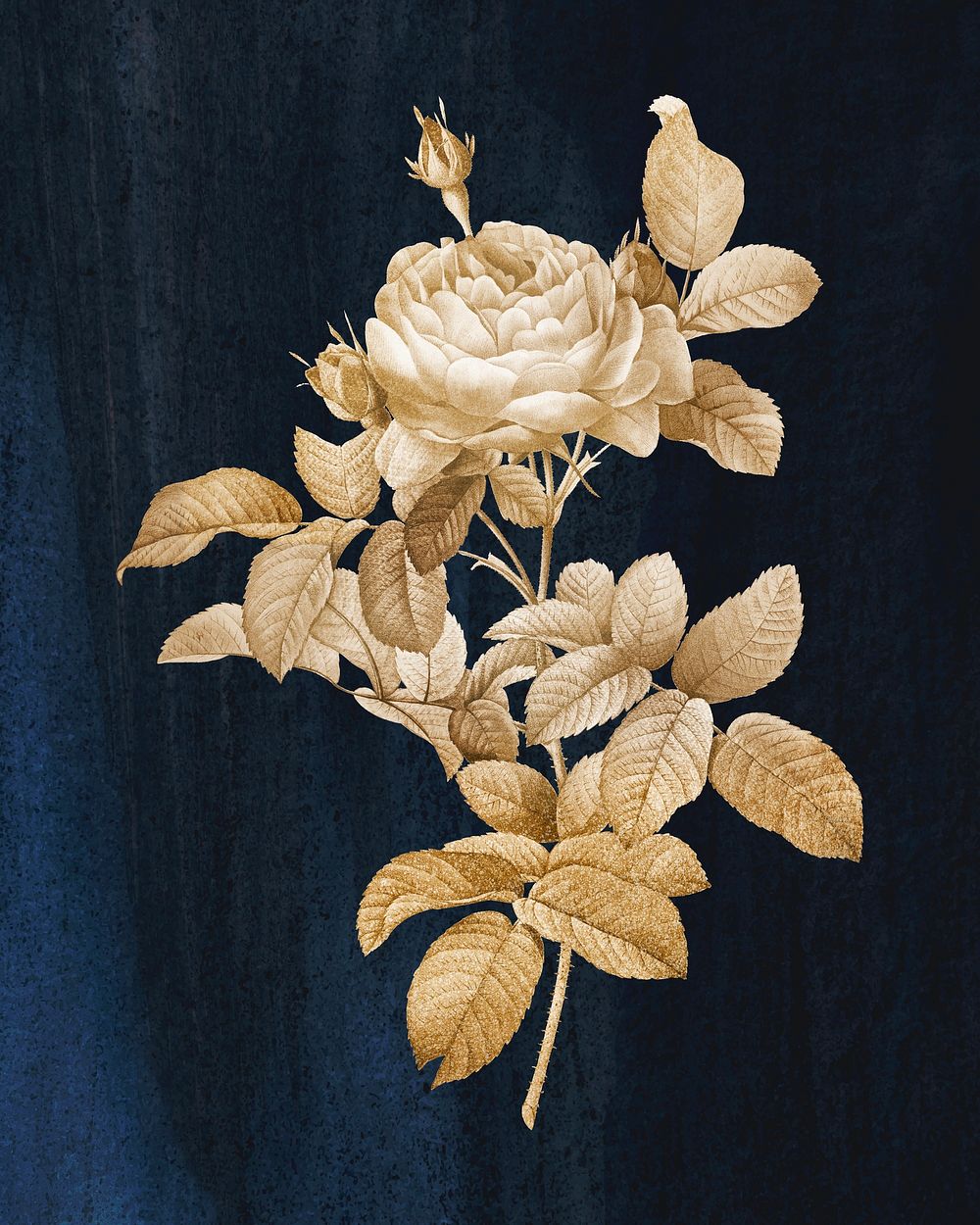 Golden rose vintage wall art print poster design remix from original artwork by Pierre-Joseph Redout&eacute;.