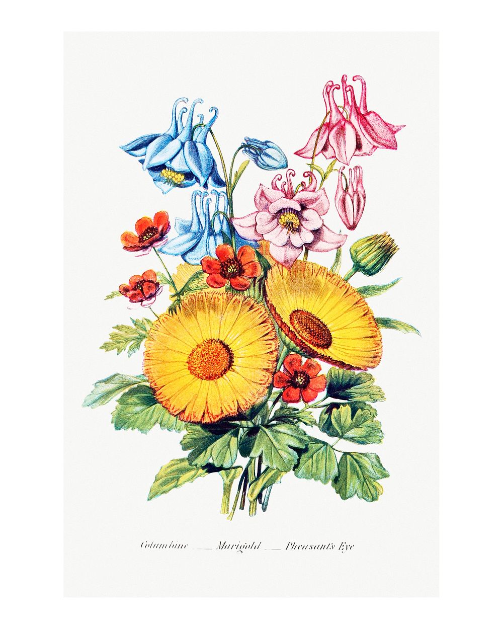 Vintage flower bouquet illustration wall art print and poster design remix from the original artwork.