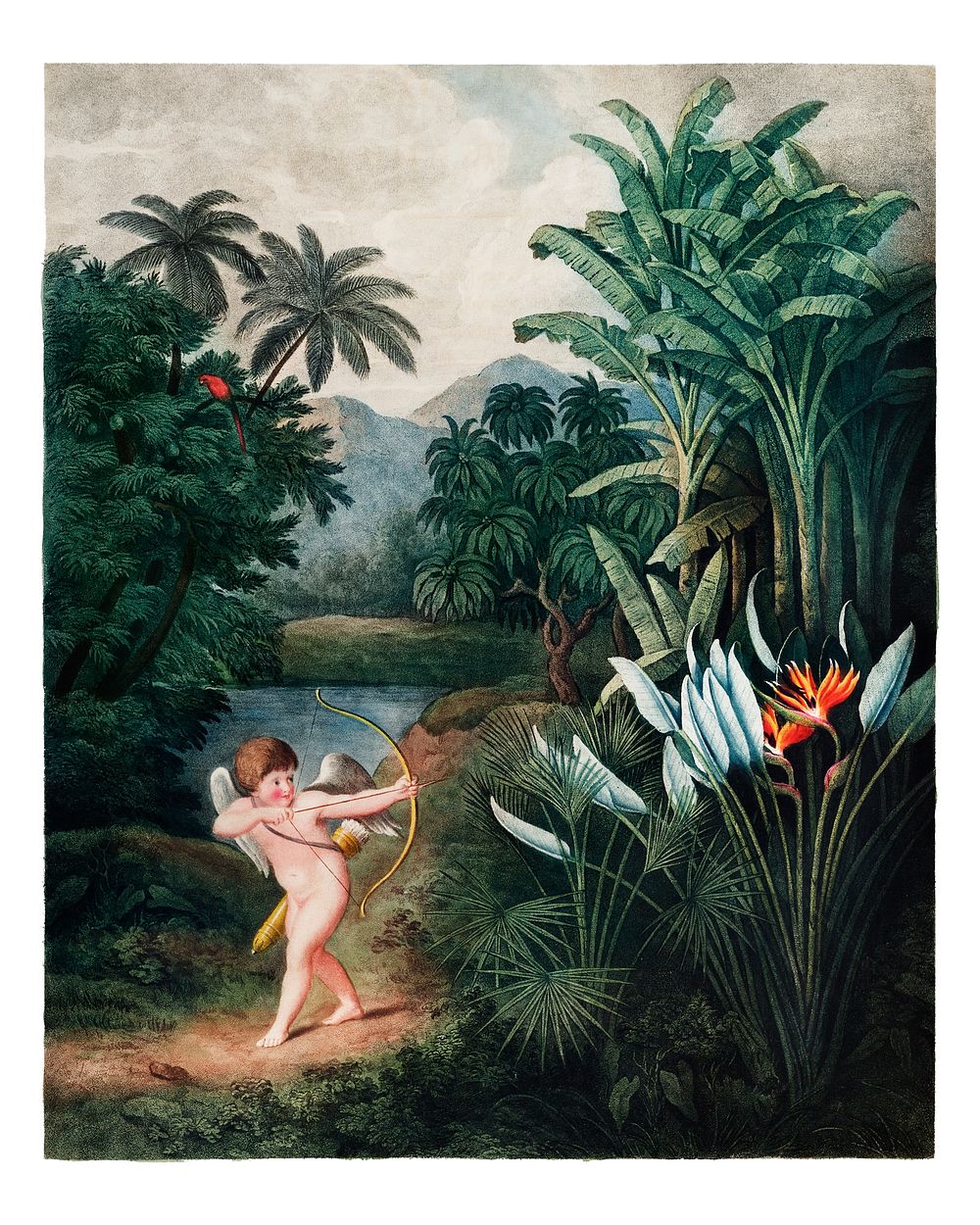Cupid Inspiring Plants with Love vintage illustration by Robert John Thornton. Digitally enhanced by rawpixel.
