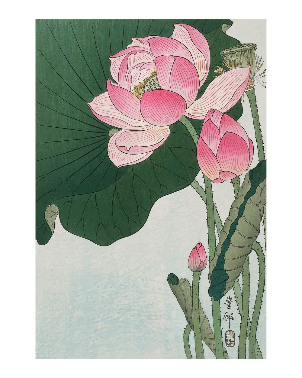 Blooming lotus vintage illustration wall art print and poster design remix from original artwork by Ohara Koson. Digitally…