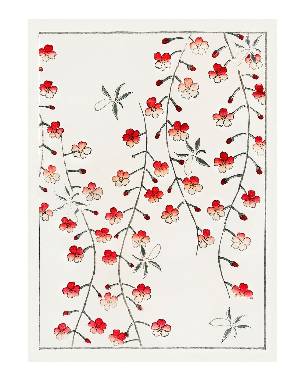 Cherry blossom vintage illustration from Bijutsu Sekai by Watanabe Seitei. Digitally enhanced by rawpixel.
