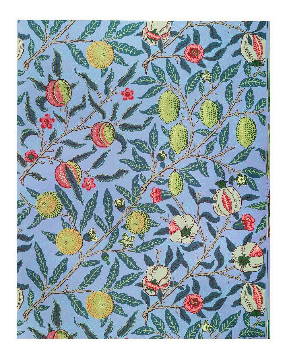 Vintage fruit illustration wall art print and poster design remix from the original artwork by William Morris.
